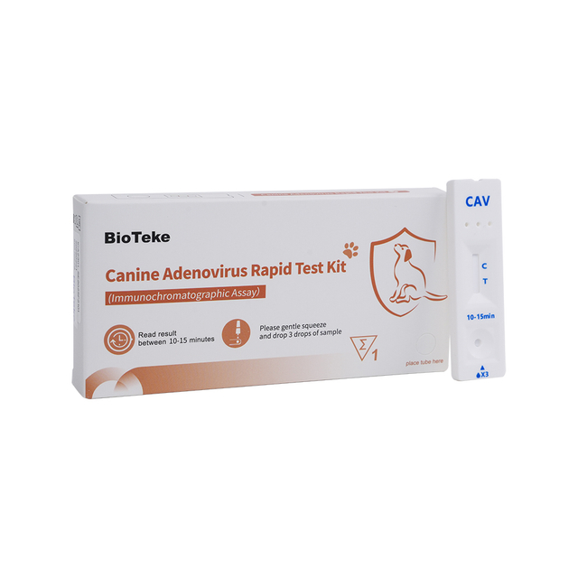 Koiran adenovirus (CAV) Rapid Test Kit (immunokromatografinen määritys) ICA2301-5