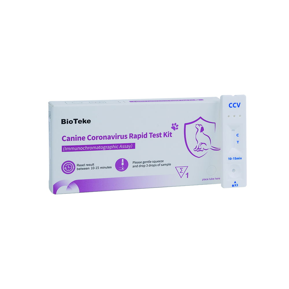 koiran coronavirus -testisarja