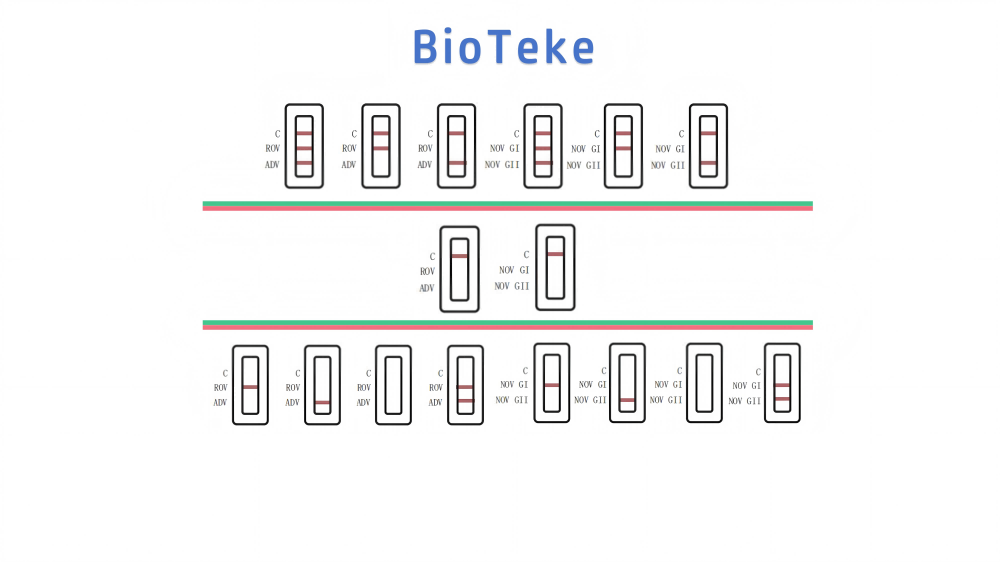 Rota Adeno Noro -viruksen testitulokset