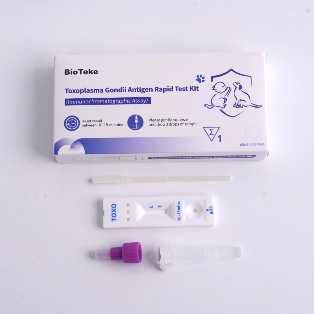 toxoplasma gondii testisarja 