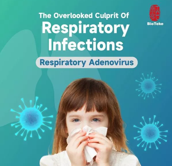 Adenovirus, yleisesti huomiotta jätetty hengitystieinfektioiden tappaja