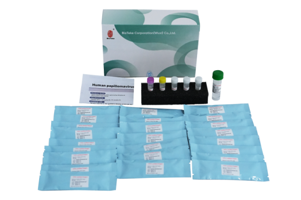 Ihmisen papilloomavirus HPV -genotyyppien havaitsemispakkaus (Fluoresence PCR -menetelmä) 
